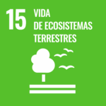s web goal 15